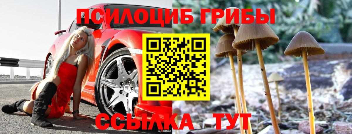 Альметьевск  Псилоцибиновые грибы мицелий  наркота  Вход с VPN 