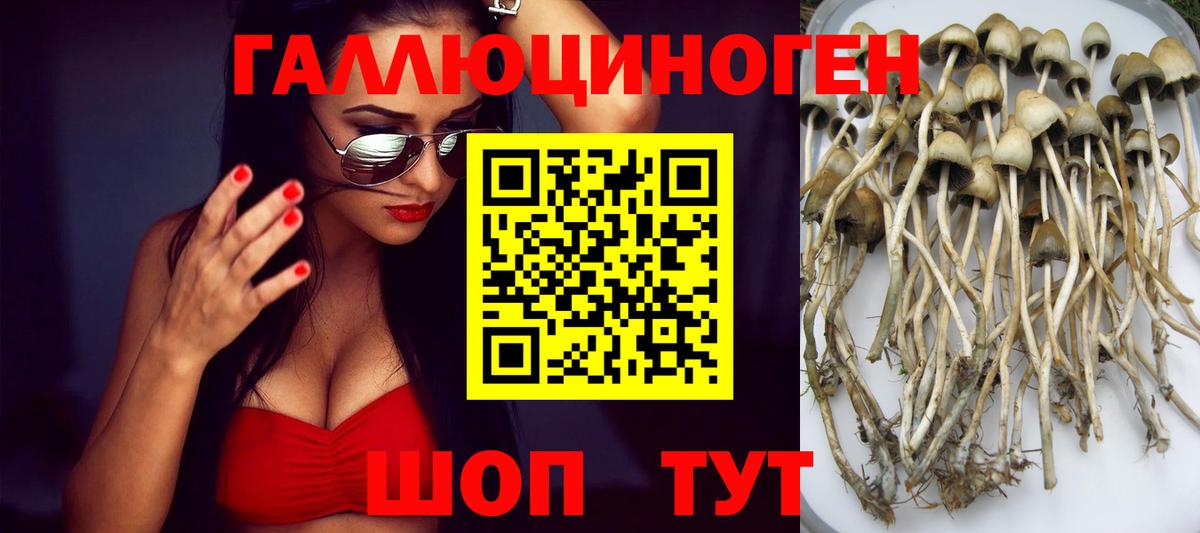 Псилоцибиновые грибы Magic Shrooms Альметьевск